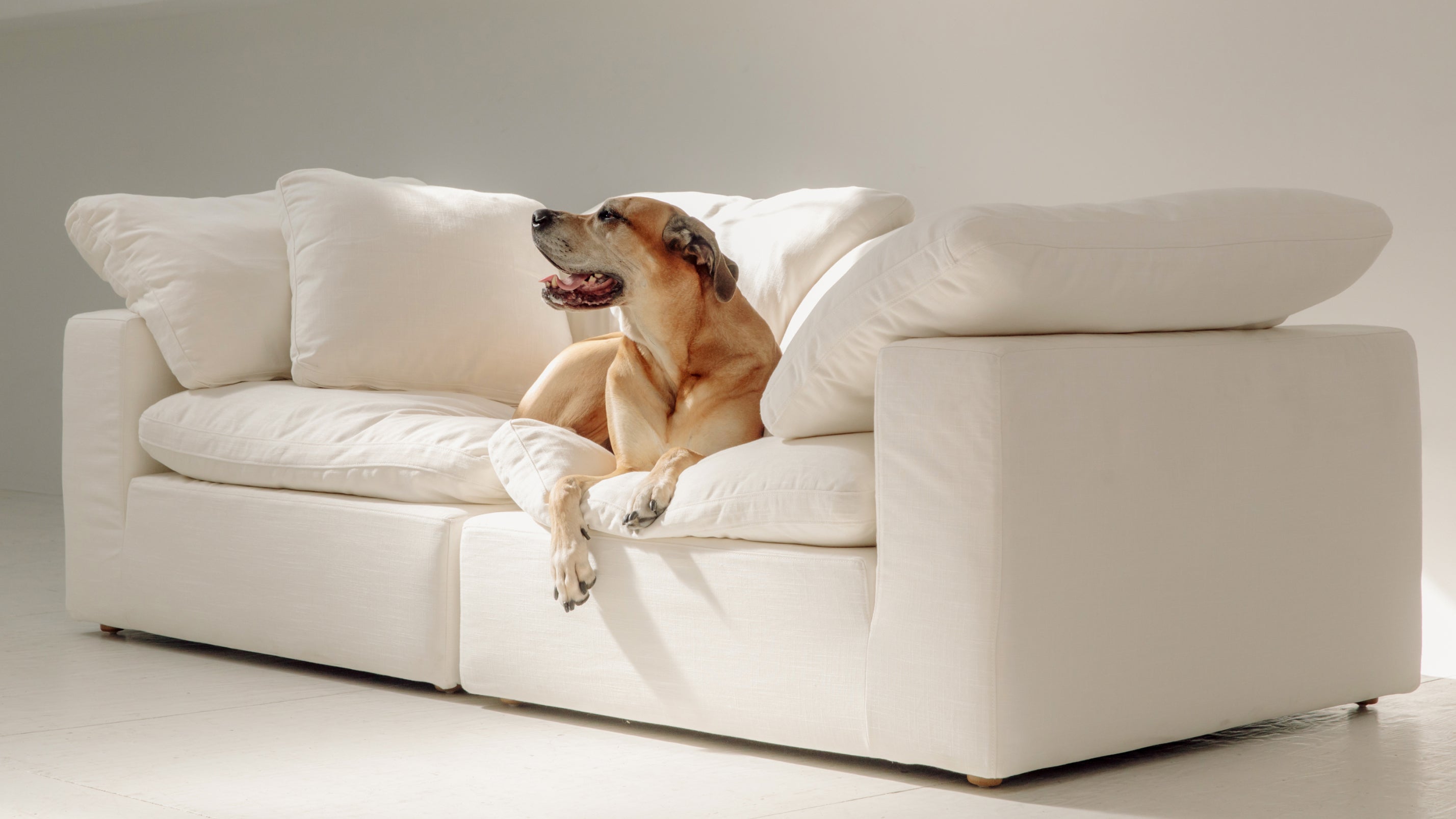 Movie Night™ 2-Piece Modular Sofa, Large, Truffle
